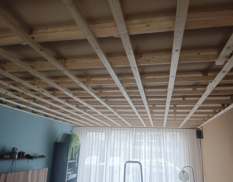 verlaagd plafond 2