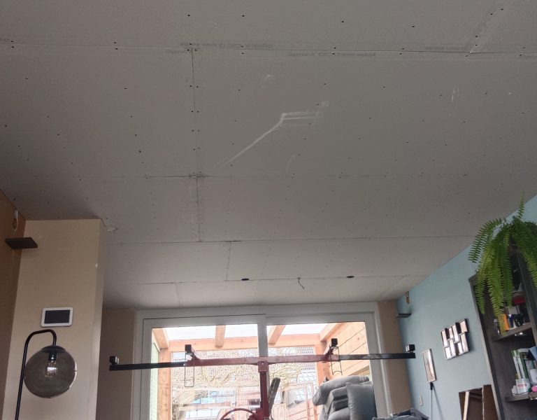 verlaagd plafond